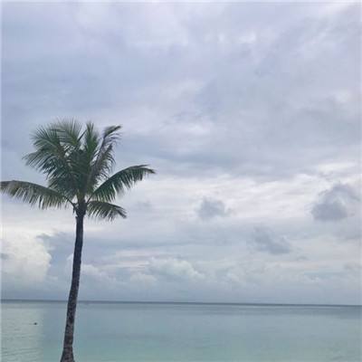 放逐大逃杀测试版下载