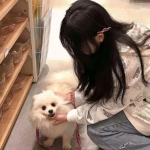 六界行者游戏官方